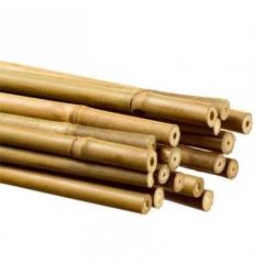 Tutores De Bambú 1m
